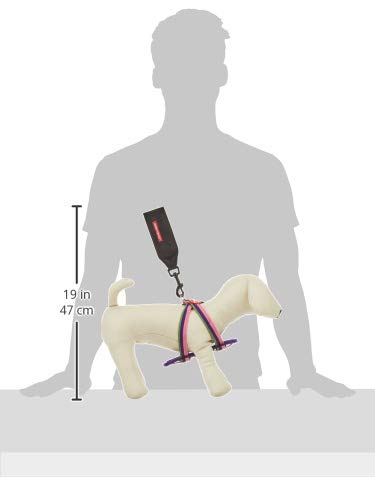Shintoa Chemical EZYDOG Harness S Bubblegum : Amazon.sg: Pet Supplies